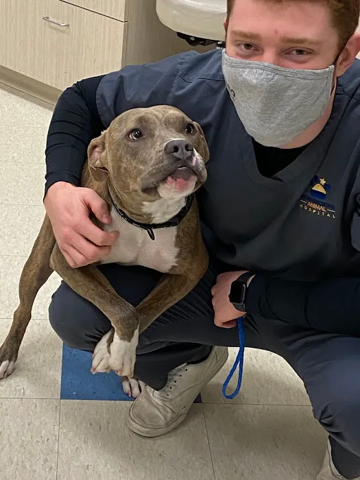 Morningstar Animal Hospital Picture 4