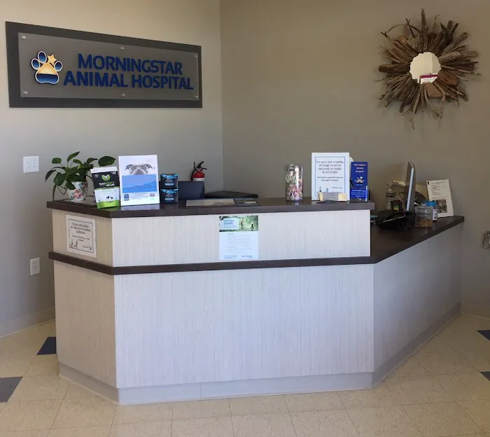 Morningstar Animal Hospital Picture 1
