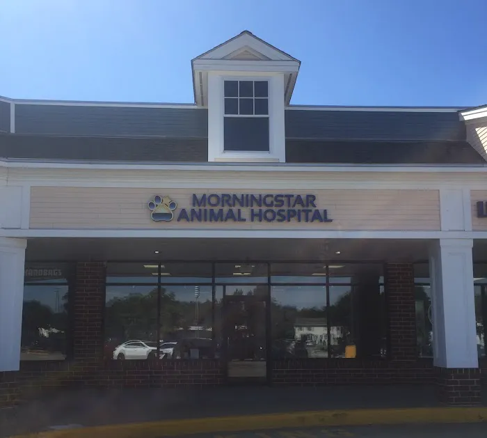 Morningstar Animal Hospital Picture 10