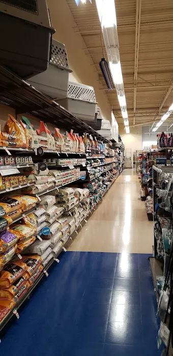 Petco Picture 3