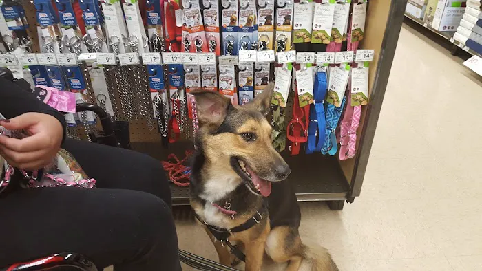 Petco Picture 2