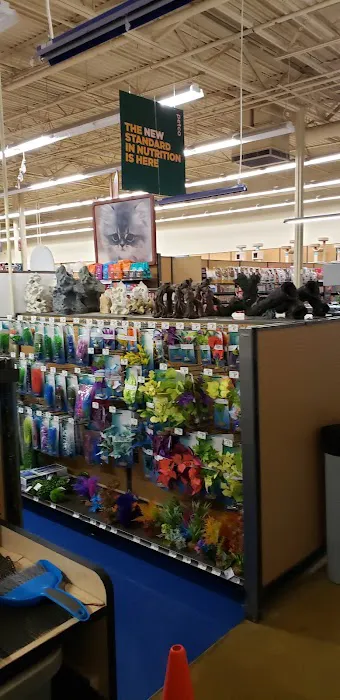 Petco Picture 10