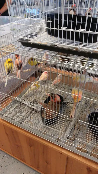 Finest Exotic Birds Picture 1