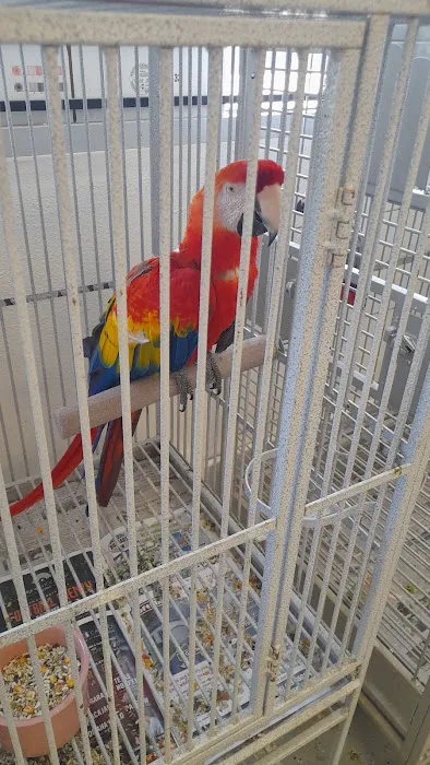 Finest Exotic Birds Picture 5