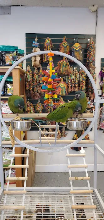 Finest Exotic Birds Picture 10