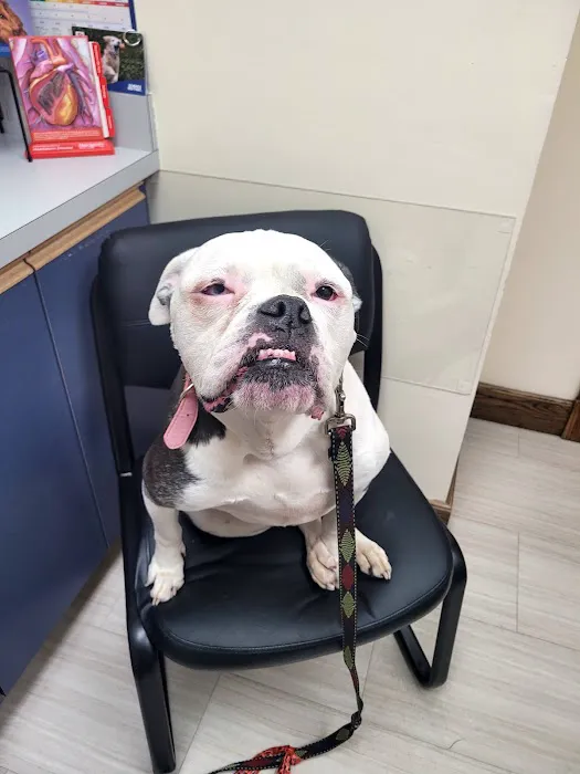 Pembroke Animal Hospital Picture 1