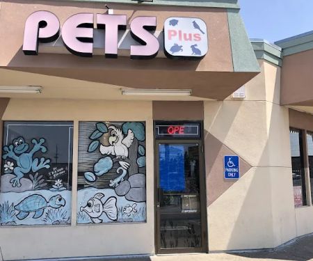 Pets Plus