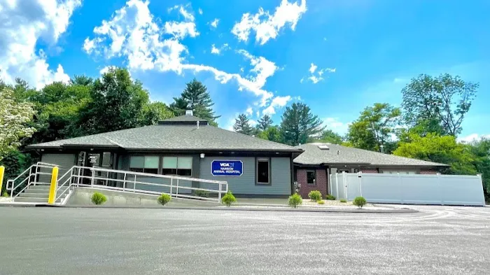 VCA Hanson Animal Hospital Picture 3