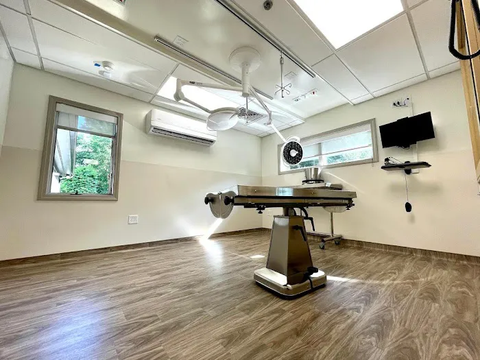 VCA Hanson Animal Hospital Picture 1