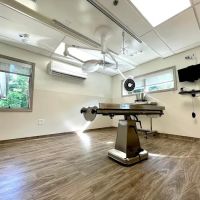 VCA Hanson Animal Hospital ico