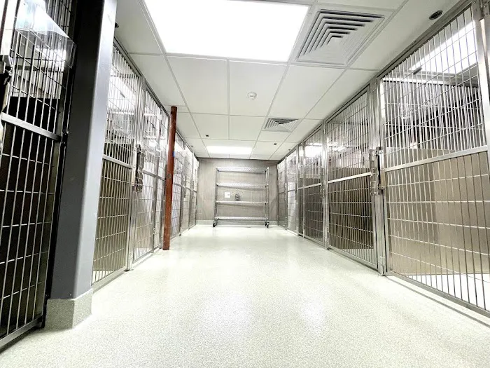 VCA Hanson Animal Hospital Picture 4