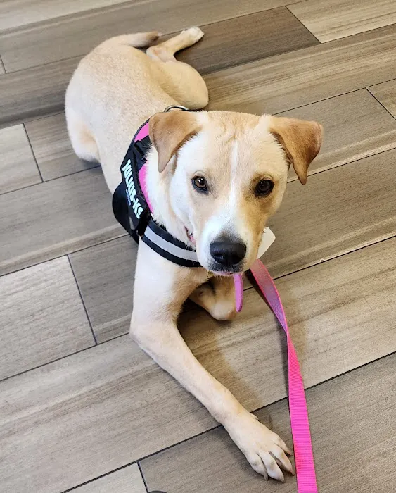 VCA Hanson Animal Hospital Picture 7