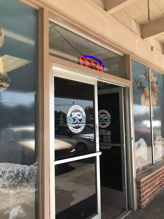 Gx3 Reptiles and Exotic Pets Picture 1