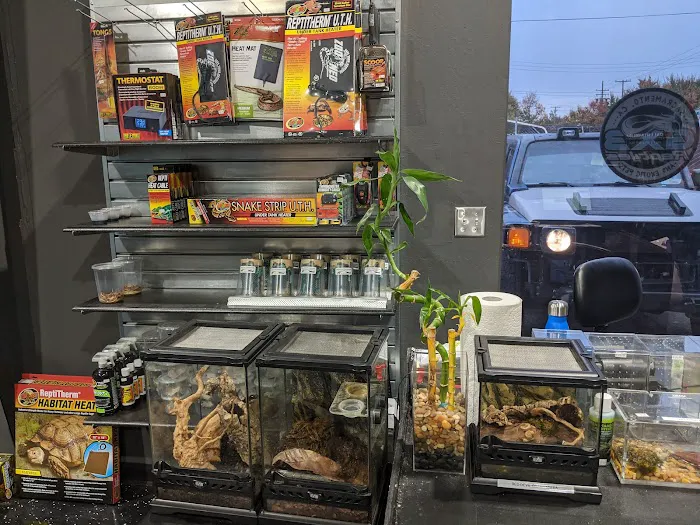 Gx3 Reptiles and Exotic Pets Picture 3