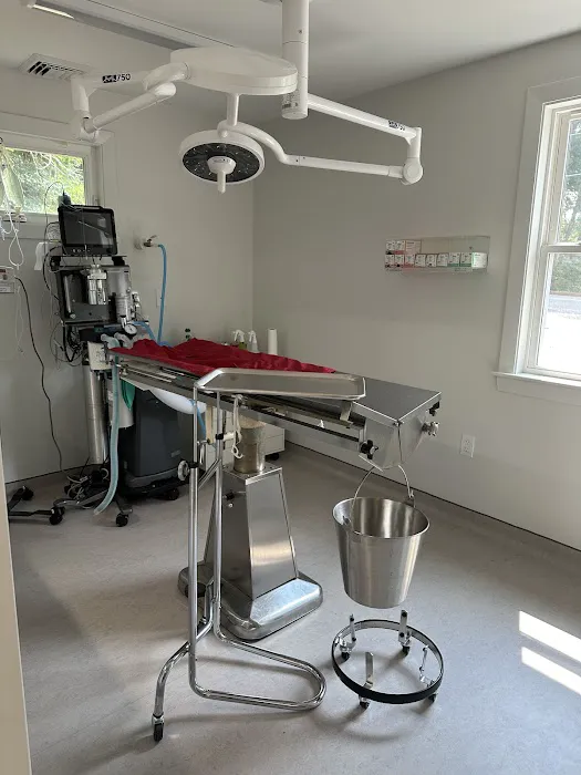 Pine Woods Animal Hospital Picture 1