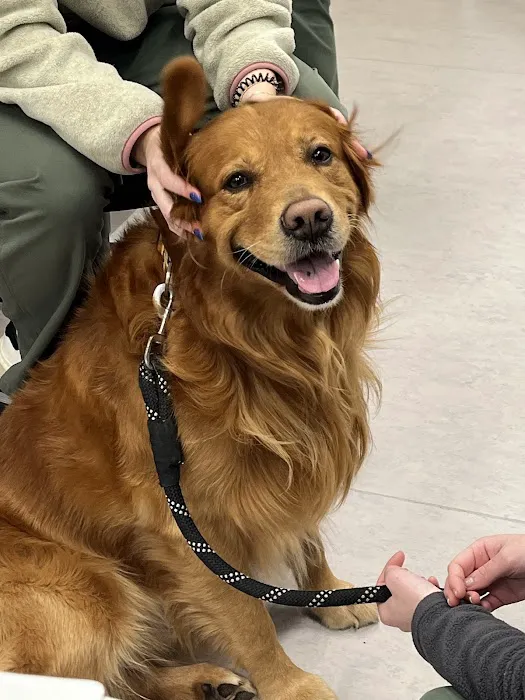 Pine Woods Animal Hospital Picture 5
