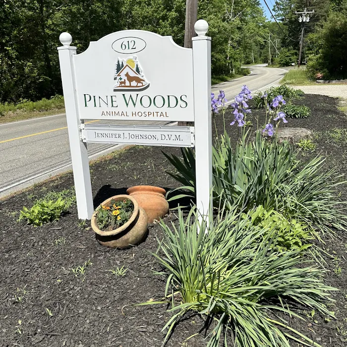 Pine Woods Animal Hospital Picture 3