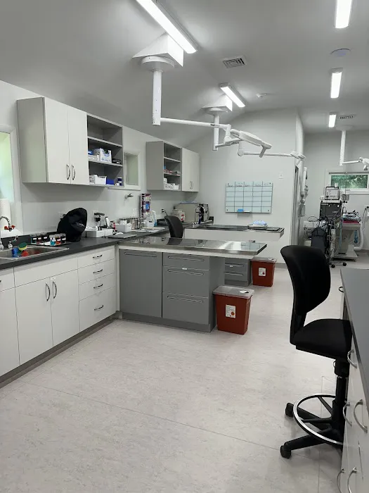 Pine Woods Animal Hospital Picture 6