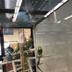 Petco