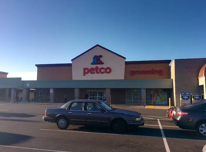 Petco Picture 2