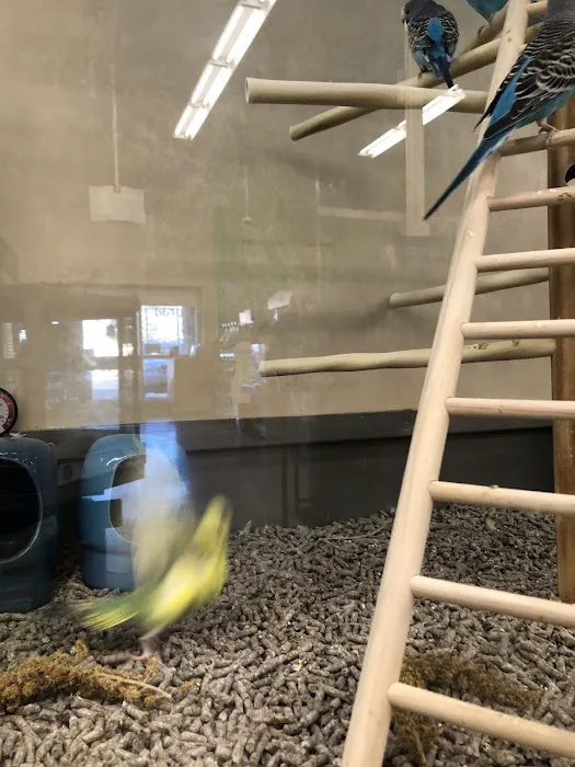Petco Picture 8