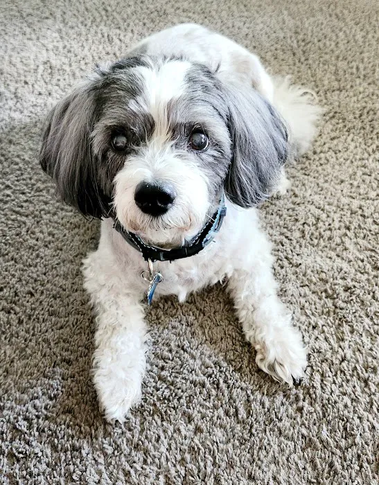 Abington Animal Hospital Picture 5