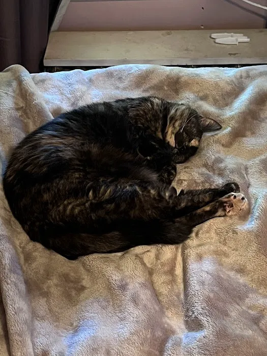 Abington Animal Hospital Picture 10