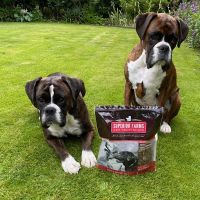 Superior Farms Pet Provisions ico