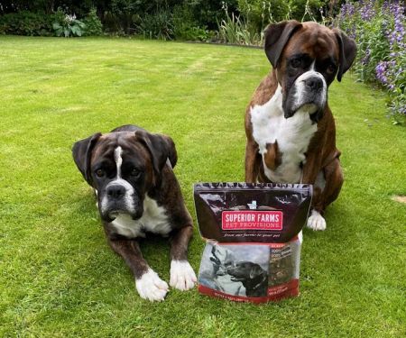 Superior Farms Pet Provisions