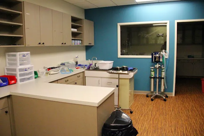 South Hingham Veterinary Services Picture 2