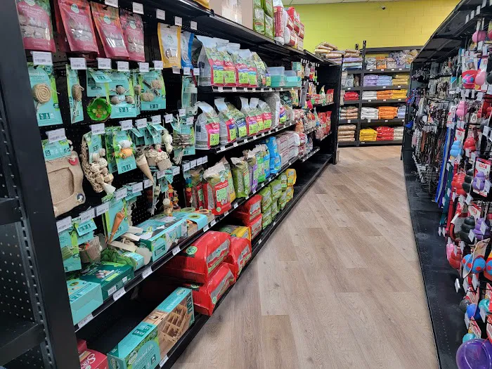 Your Pet's Market Picture 6