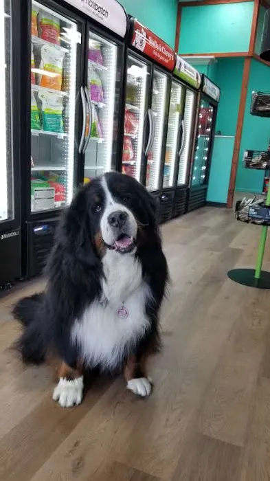 Your Pet's Market Picture 8