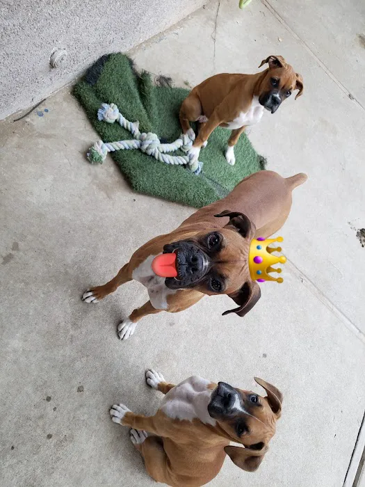 Armstrong's Pet World Picture 3