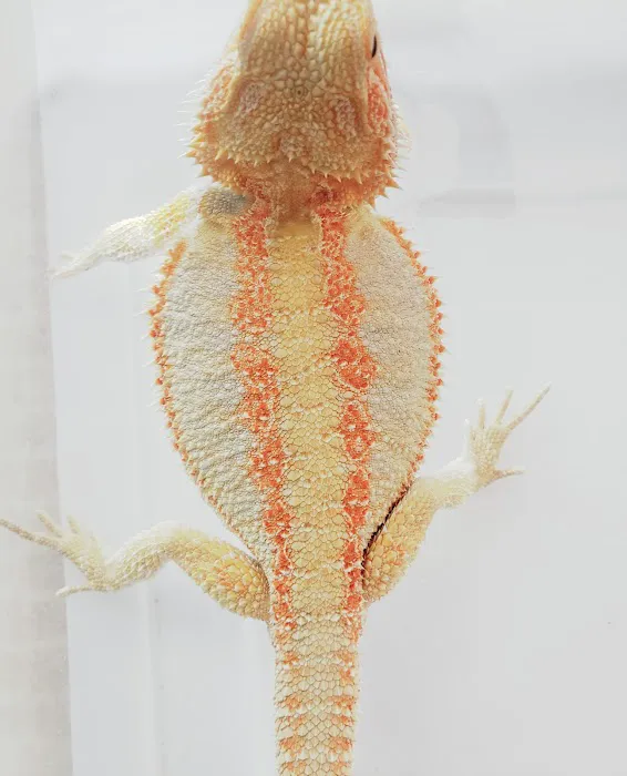 Armstrong's Pet World Picture 5