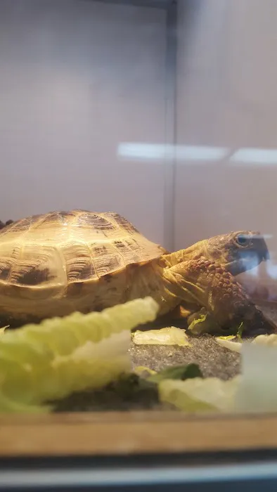 Armstrong's Pet World Picture 3