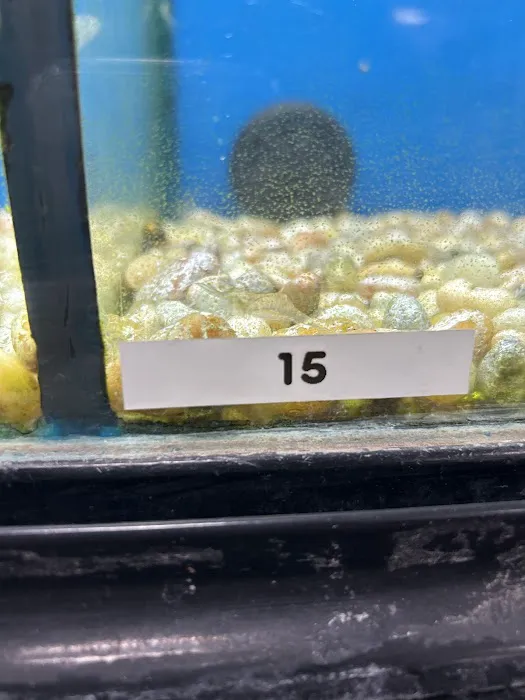 Armstrong's Pet World Picture 2