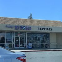 Armstrong's Pet World ico