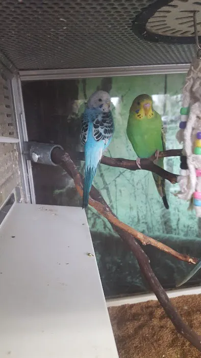 Armstrong's Pet World Picture 5