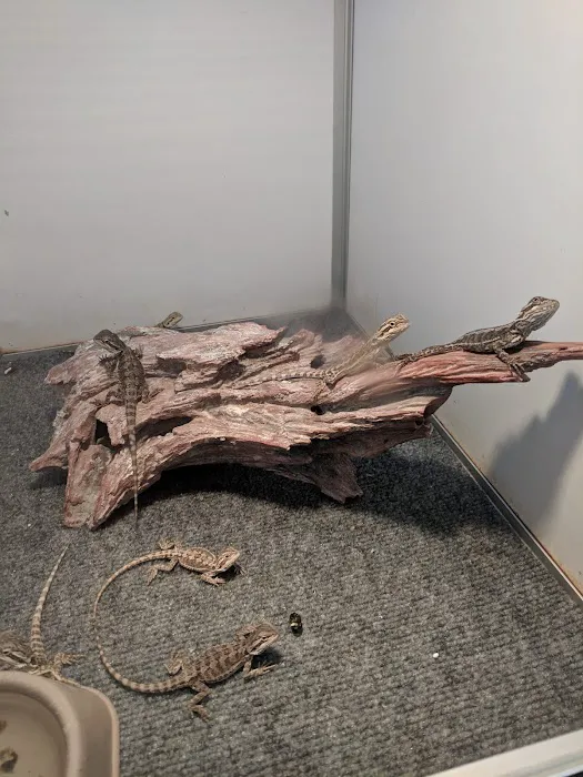 Armstrong's Pet World Picture 9