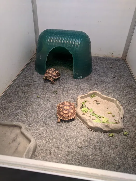 Armstrong's Pet World Picture 7