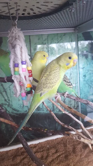 Armstrong's Pet World Picture 10