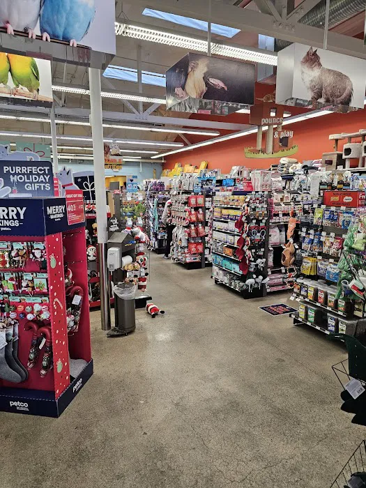 Petco Picture 4
