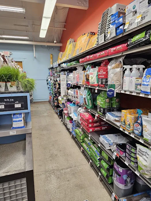 Petco Picture 5