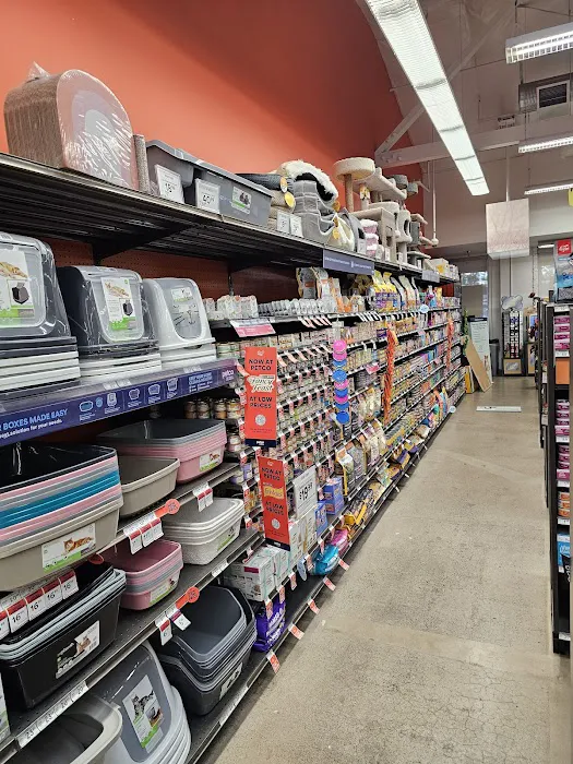 Petco Picture 7