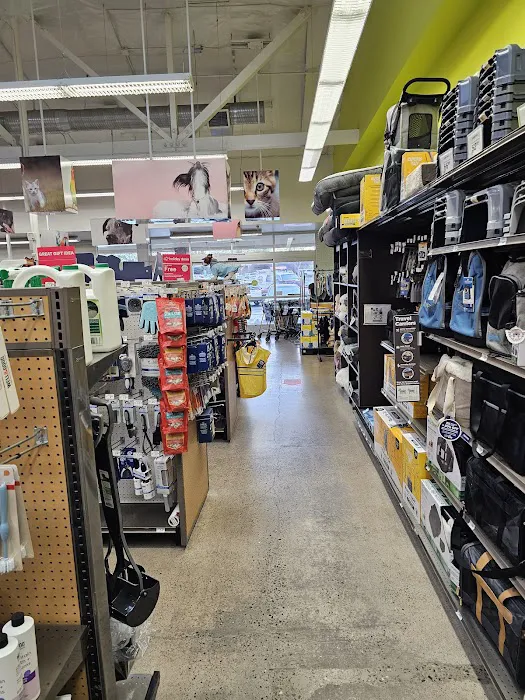 Petco Picture 8