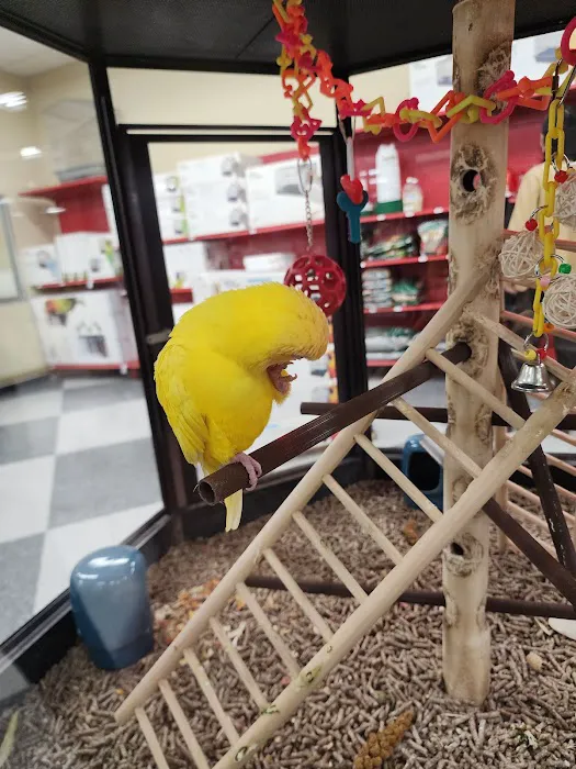 Petco Picture 4