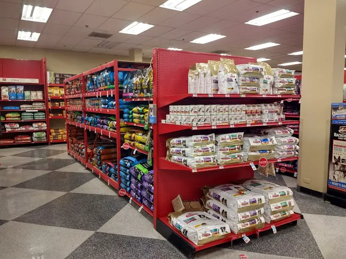 Petco Picture 8
