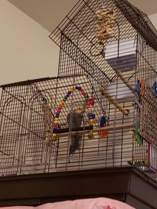 Petco Picture 9