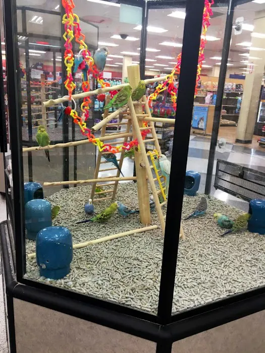 Petco Picture 7