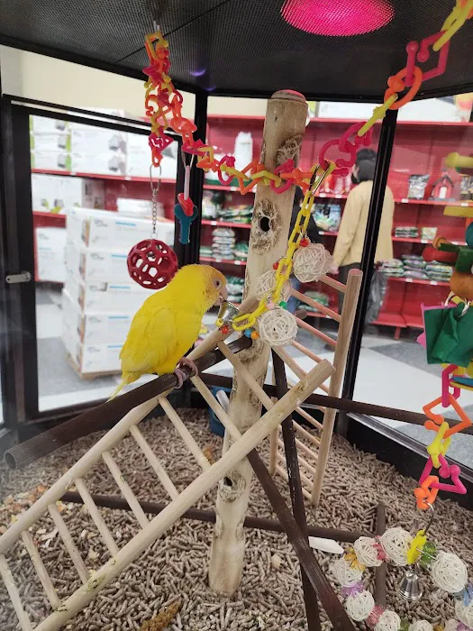 Petco Picture 10